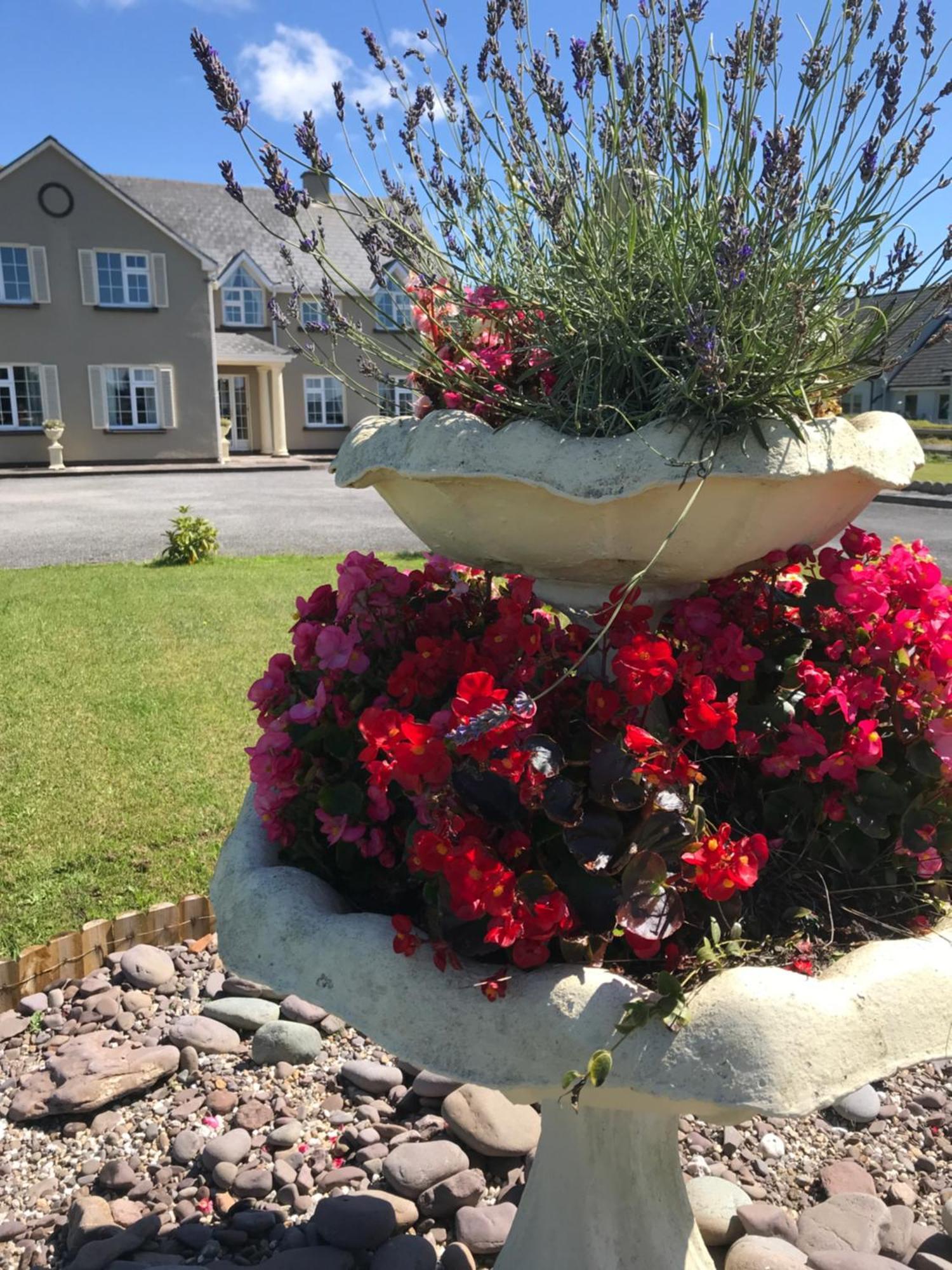 Kielty'S Of Kerry Bed And Breakfast Waterville Ngoại thất bức ảnh